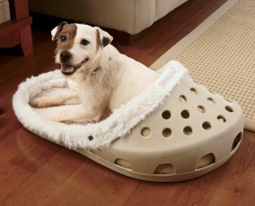 Δροσερό κρεβάτι σκύλου σε σχήμα παπουτσιού crocs