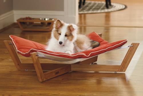 Δροσερό κρεβάτι σκύλου με πορτοκαλί μαξιλάρια
