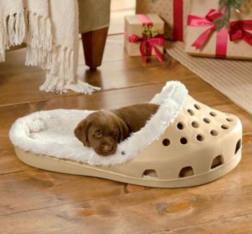 Δροσερό κρεβάτι σκύλου σε σχήμα παπουτσιού