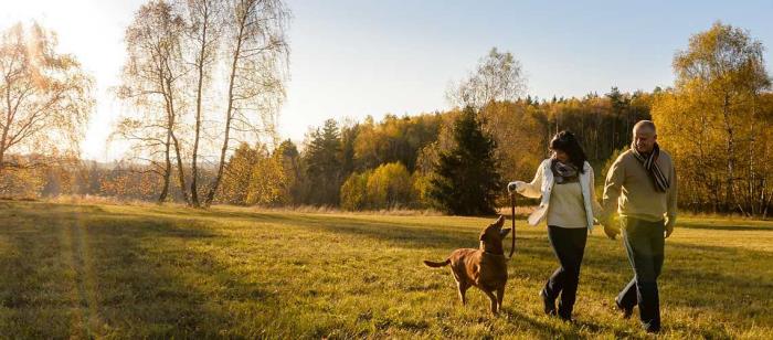 Η κρίση του κορωνοϊού και τα σκυλιά κυριαρχούν στην ερωμένη σκυλί που περπατά στο δάσος σε ένα λιβάδι