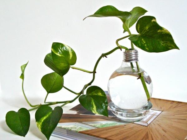 DIY διακόσμηση από λαμπτήρες φυτών εσωτερικού χώρου