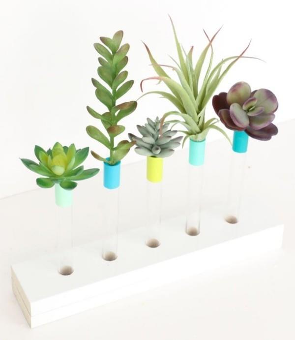 Συνδέστε DIY διακοσμητικά φυτά