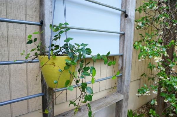 DIY πέργκολα και αξεσουάρ κήπου εξωραϊσμός και εξωραϊσμός