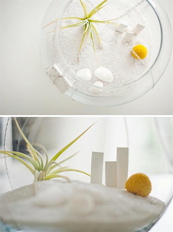 DIY air plant terrarium ιδέα δώρο