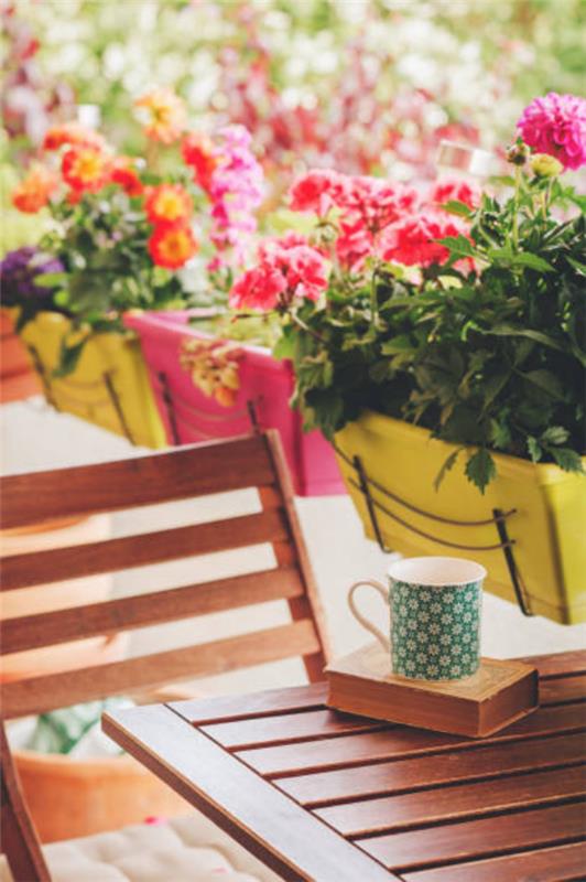 Μπαλκόνι Dahlias φροντίδα πολύχρωμα λουλούδια κούπα καφέ ευχάριστη ατμόσφαιρα απολαύστε το αναψυκτικό