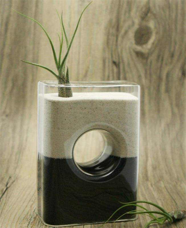 Διακοσμητικά βάζα δημιουργικά διακοσμητικά αντικείμενα Γυάλινο βάζο με άμμο για παχύφυτα