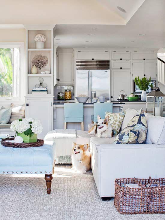 Ιδέες διακόσμησης σαλόνι ανοιχτό μπλε περιστέρι γκρι δύο σκυλιά καναπέδες καλάθια κουζίνα στο παρασκήνιο