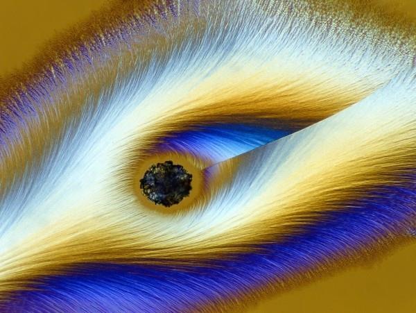 Οι φωτογραφίες που κέρδισαν από τη Nikon Small World 2019 είναι εδώ! βιταμίνη C φωτογραφήθηκε