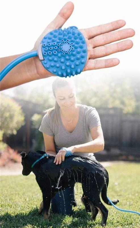 Τα καλύτερα έξυπνα οικιακά gadgets για κατοικίδια σκυλιά aquapaw πλένονται εύκολα