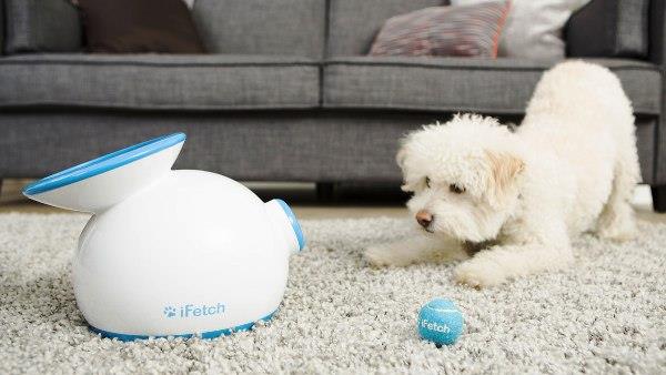 Τα καλύτερα έξυπνα οικιακά gadget για κατοικίδια κατοικίδια ζώα ρίχνουν μπάλες για το σκύλο σας