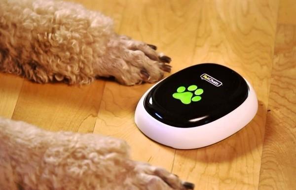 Τα καλύτερα έξυπνα οικιακά gadgets για κατοικίδια petchatz συσκευή petcall για έξυπνα σκυλιά