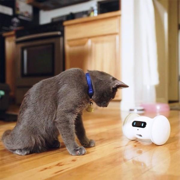 Τα καλύτερα έξυπνα gadgets για κατοικίδια κατοικίδια ζώα ρομπότ varram κρατούν σκύλους και γάτες ευτυχισμένους
