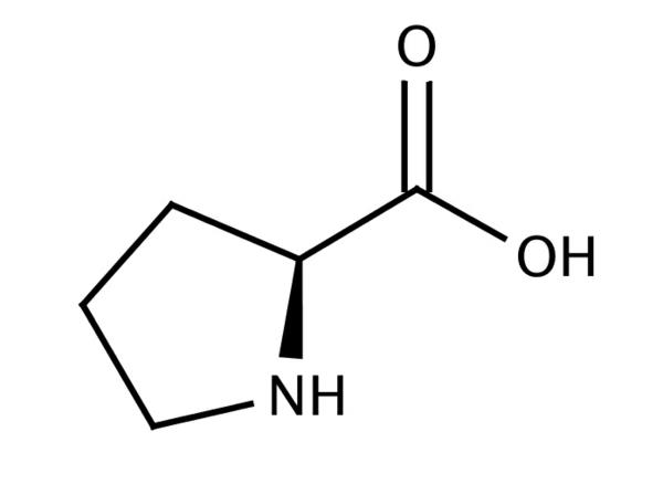 Τα οφέλη για την υγεία της φόρμουλας L-Proline