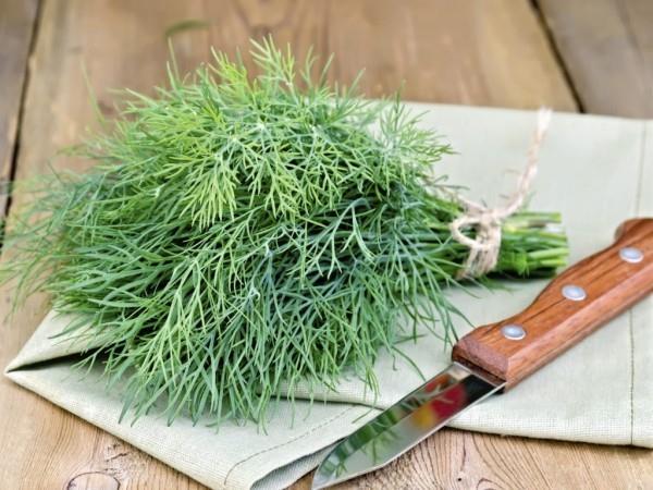Χρησιμοποιήστε άνηθο φρέσκα πράσινα φύλλα όταν μαγειρεύετε στην κουζίνα