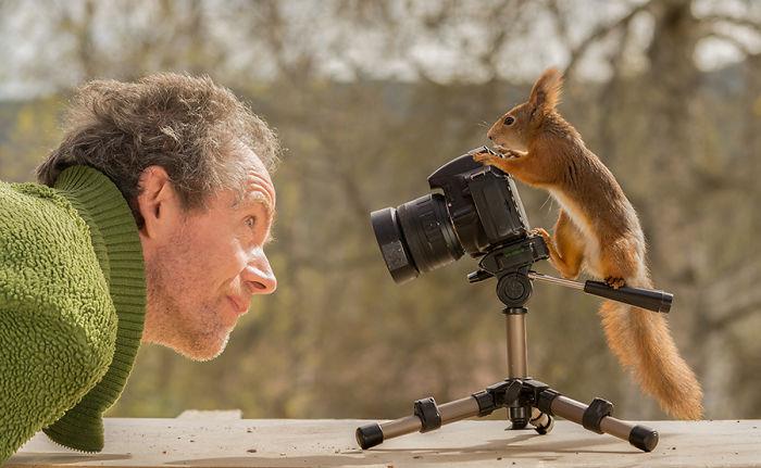 Ο Geert Weggen φωτογράφισε σκίουρους στην άλλη πλευρά της κάμερας