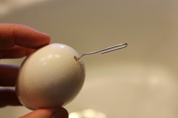 Αφαιρέστε τα αυγά Τρυπήστε το κέλυφος των αυγών Οδηγίες βήμα προς βήμα