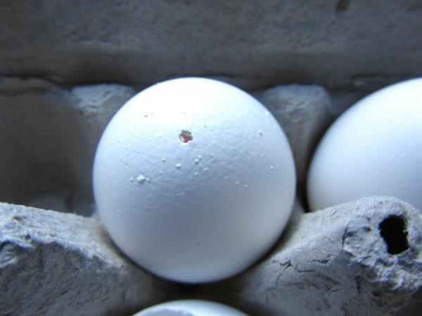Ξεφλουδίστε την τεχνική του κελύφους αυγών με οδηγίες τρύπας