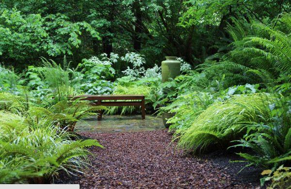 Ένας πάγκος στο εσωτερικό - δημιουργήστε έναν φυσικό κήπο