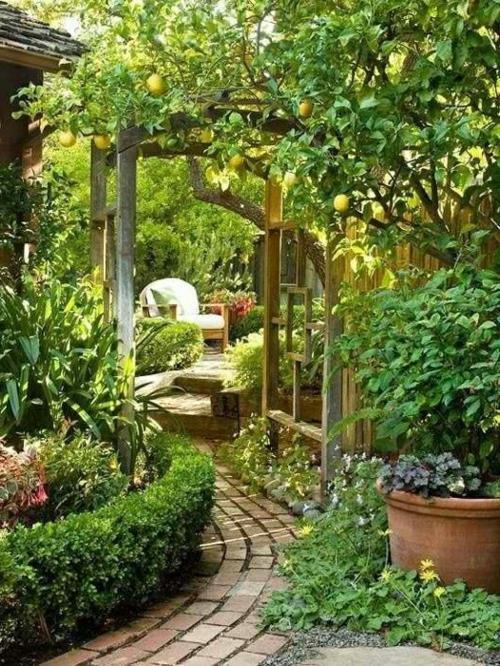 κάνει υπέροχο κήπο μονοπάτι κήπο τριαντάφυλλο αψίδα