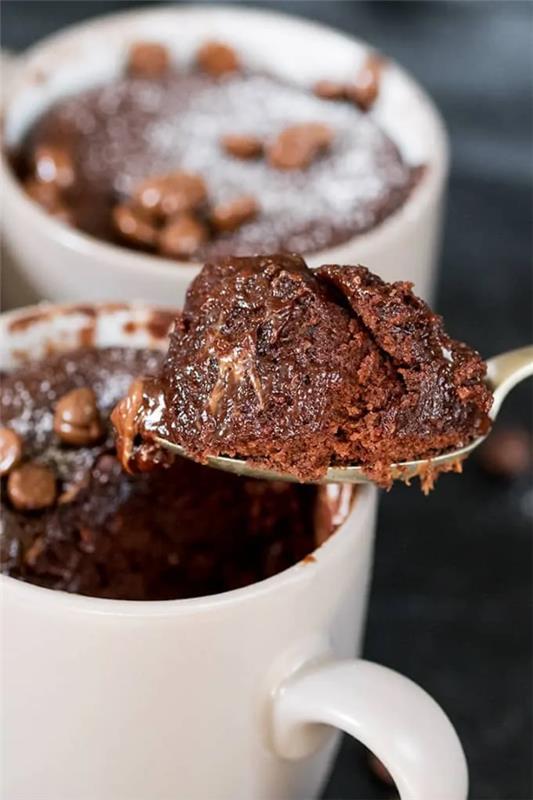 Απλές, γρήγορες και υγιεινές ιδέες συνταγής για κέικ κέικ από το κέικ σοκολάτας μικροκυμάτων νόστιμες