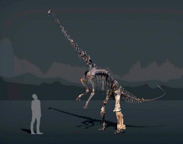 Ο μοναδικός σκελετός Diplodocus με δέρμα θα δημοπρατηθεί 6 μέτρα ύψος και 12 μέτρα μήκος