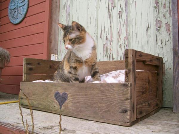 ξύλινες παλέτες ανακυκλώνουν έπιπλα κήπου τουαλέτα γάτες