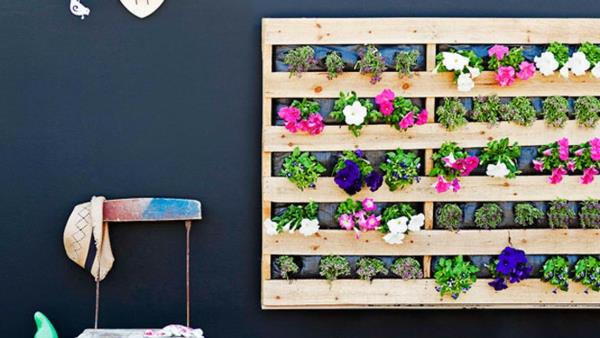 ξύλινες παλέτες ανακυκλώνουν φυτά πολύχρωμα λουλούδια τοίχο