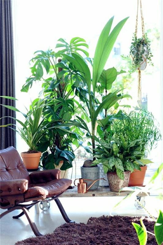 Φενγκ Σούι εικόνες εσωτερική φυτά βεράντα σχεδιασμό θετική ενέργεια