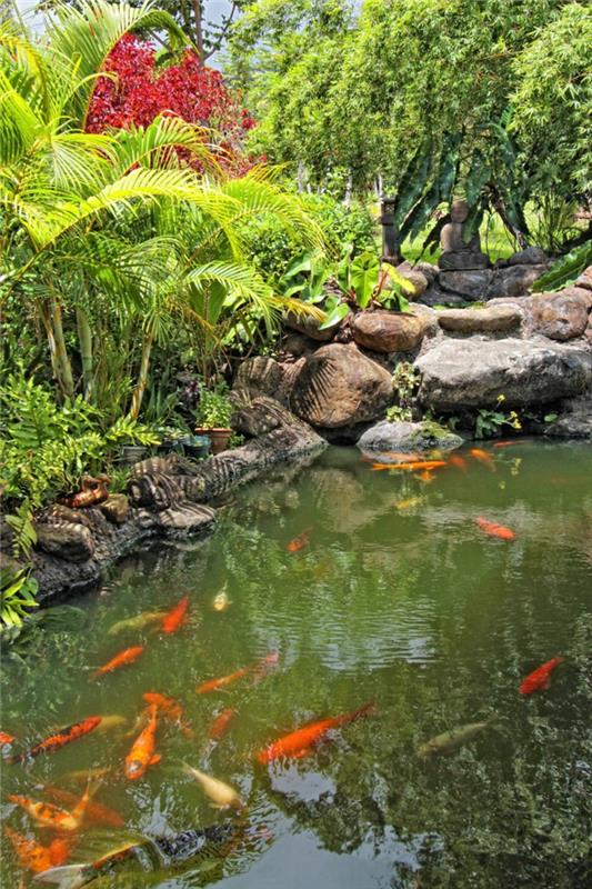 Παραδείγματα σχεδιασμού κήπου Κήπος Feng Shui τέσσερα χρυσόψαρα