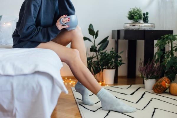Οι ιδέες του υπνοδωματίου Feng Shui δεν στεγάζουν φυτά
