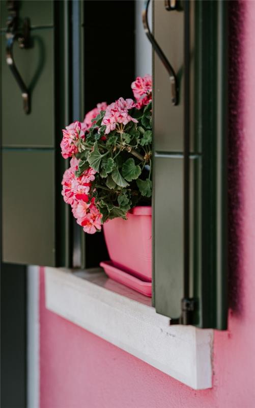 Διακόσμηση περβάζι για το καλοκαίρι - φρέσκες ιδέες για οποιοδήποτε εσωτερικό γεράνι ροζ τοίχους λουλούδια