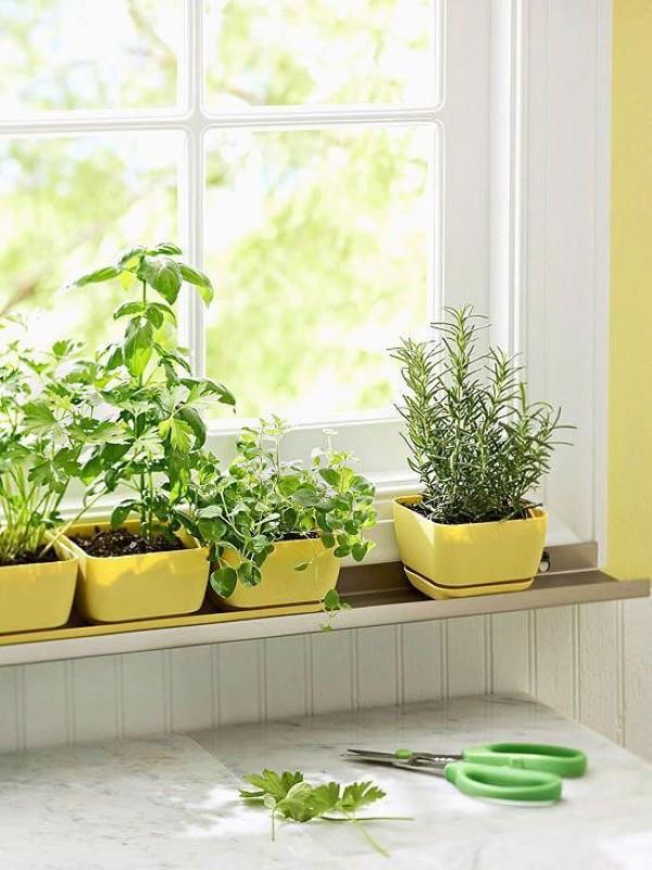 Διακόσμηση περβάζι για το καλοκαίρι - φρέσκες ιδέες για οποιοδήποτε εσωτερικό παράθυρο κήπου με βότανα