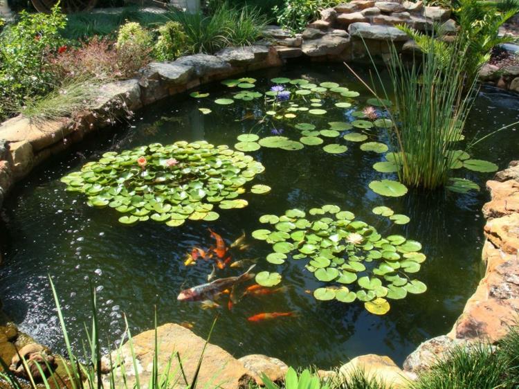 Λίμνη κήπου λιμνών ψαριών εικόνες ιδέες κήπου λίμνη φυτών νερού