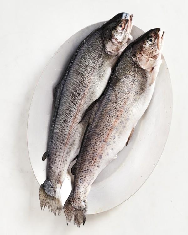 Πέστροφα σχάρα υγιεινά τρόφιμα ψάρια ψάρια πέστροφας