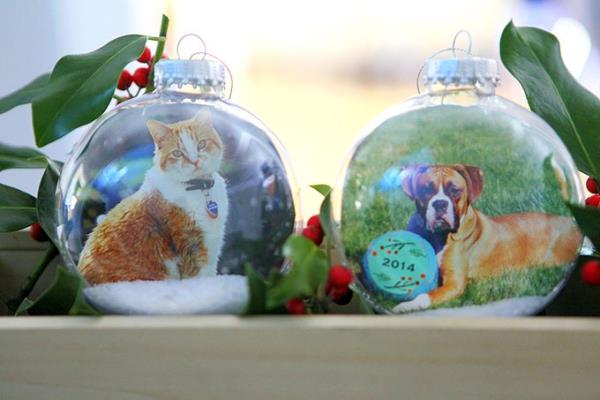 Κάνοντας δώρα φωτογραφιών για τα Χριστούγεννα - δημιουργικές ιδέες και οδηγίες στολίδια κατοικίδιων ζώων σκύλου γάτας