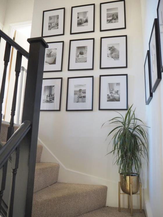 Φωτογραφικός τοίχος στο πλέγμα κλιμακοστασίου που κρεμά έξι εικόνες όμορφα σχεδιασμένη γλάστρα στα σκαλοπάτια