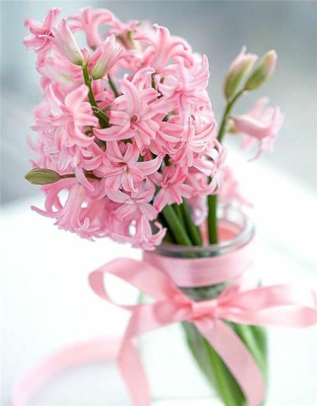 Ανθοδέσμη ανοιξιάτικων λουλουδιών Hyacinthus orientalis όμορφες ανοιξιάτικες λουλούδια εικόνες