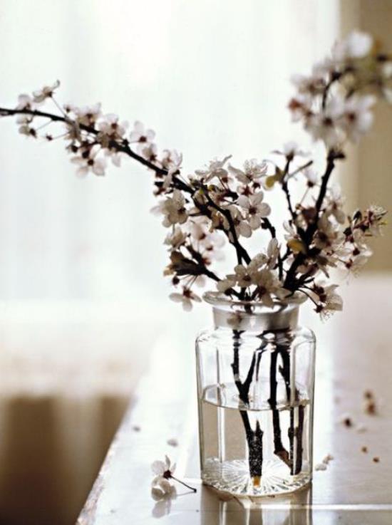 Ανοιξιάτικη διακόσμηση με άνθη κερασιού τρία τρία λεπτά κλαδιά λευκών ανθών στο ποτήρι