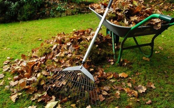 Κήπος το φθινόπωρο Τι να κάνετε τώρα Συλλέξτε φύλλα και λίπασμα