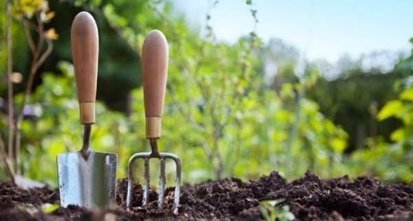 Κηπουρική τον Μάρτιο εργαλεία κήπου
