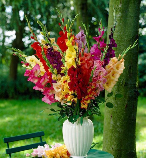 Λουλούδια κήπου για λαμπερό ήλιο πολύχρωμα γλαδιόλια σε λευκό βάζο που ταιριάζει με κοσμήματα για το υπαίθριο τραπεζάκι του καφέ
