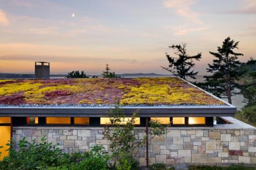 Σχεδιασμός κήπου με ανθεκτικά φυτά roof garden