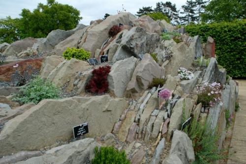 Σχεδιασμός κήπου με ανθεκτικά φυτά βράχια βουνού