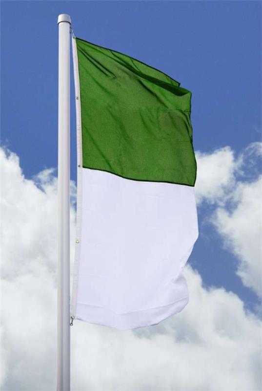 Σημαίες και σημαίες κήπου Σημαίες κηδεμόνας πράσινες λευκές