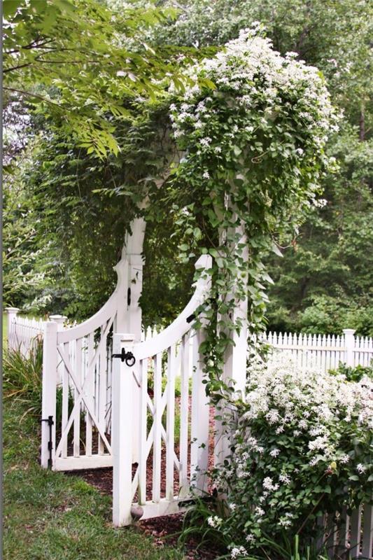 Ιδέες σχεδιασμού κήπου λευκό φράχτη πόρτας κήπου λευκό clematis από ξύλο