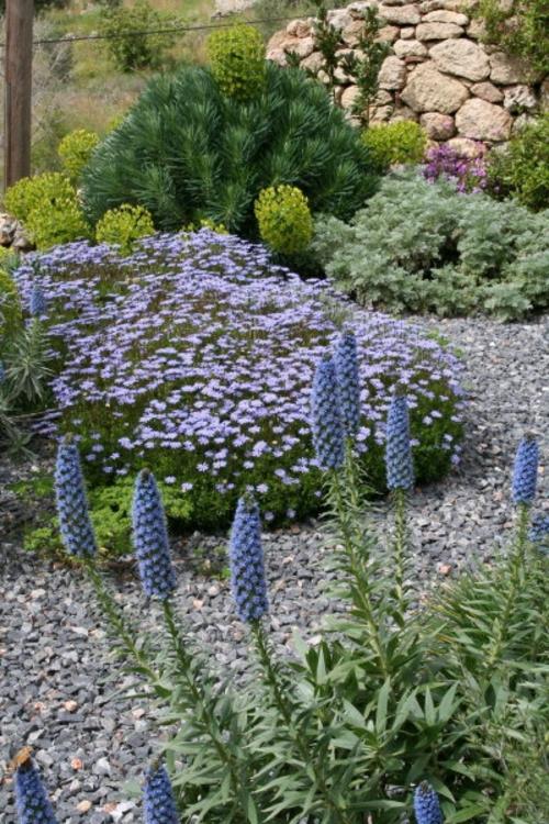 λουλούδια μοβ τοπίο σχεδιασμός κήπου με χαλίκι
