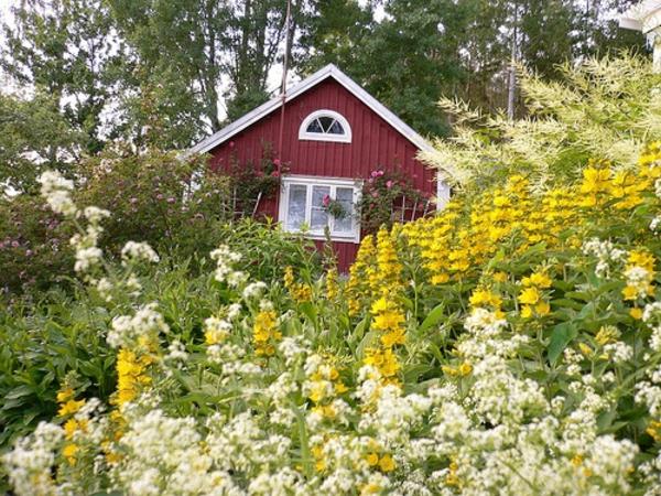Σπίτι κήπου σε κίτρινο φυτό σουηδικού στιλ