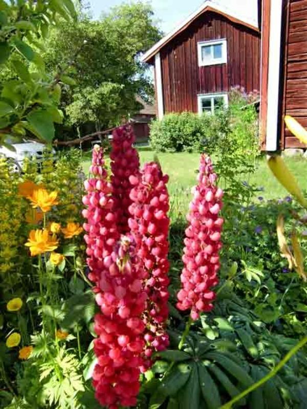 Σπίτι κήπου σε είδη φυτών σουηδικού στιλ