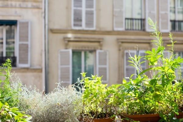Γλάστρες συντήρησης κήπου μπροστά από το κτίριο