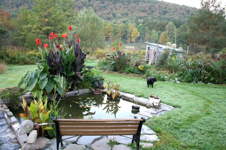 Εικόνες λίμνης κήπου ιδέες κήπου φυτά κήπου ξύλινος πάγκος